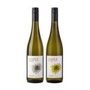 Weinmanufaktur SIMPLY Blanc de Blancs feinfruchtig 2020